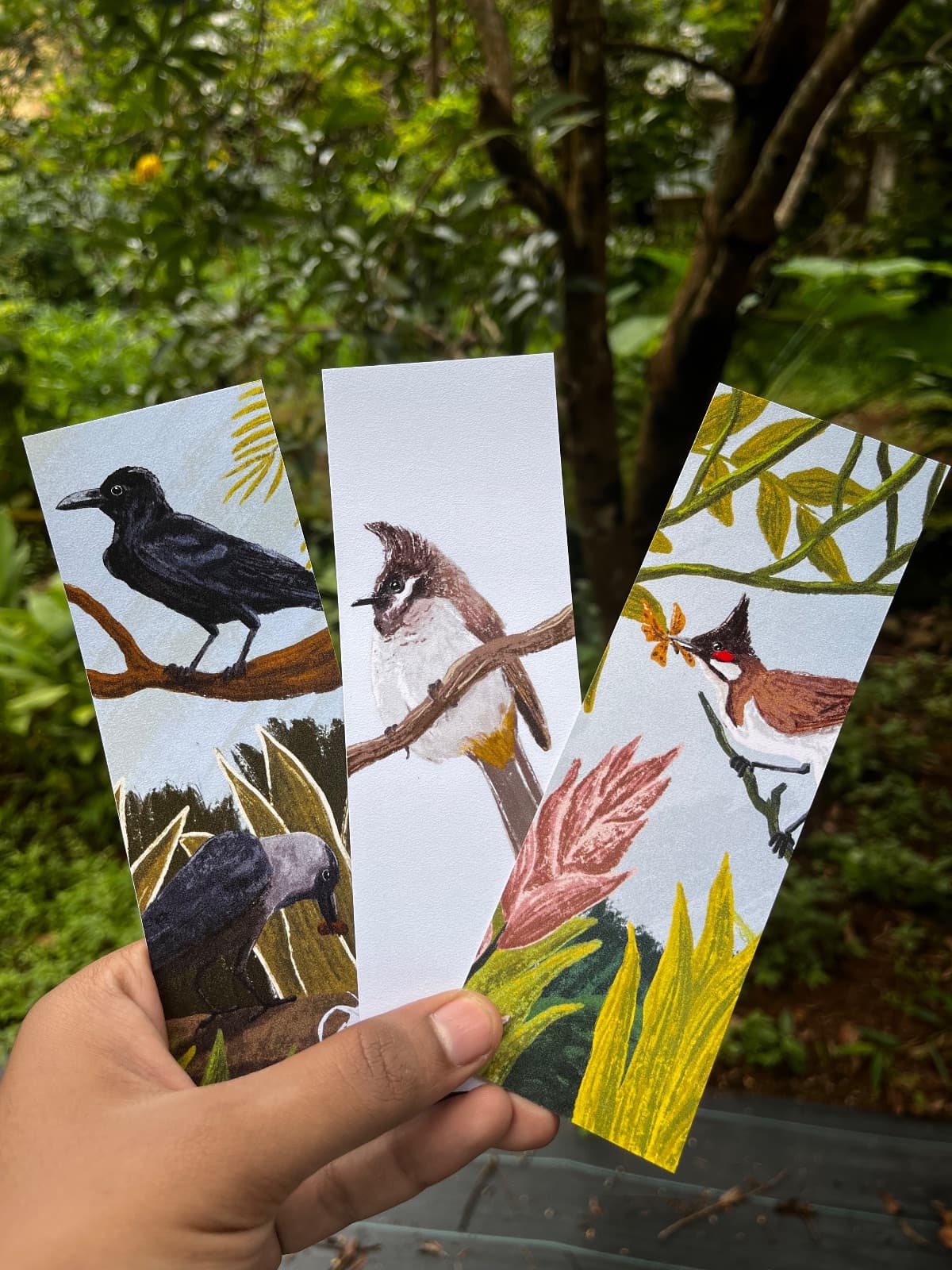 Bird bookmarks pack pf 3