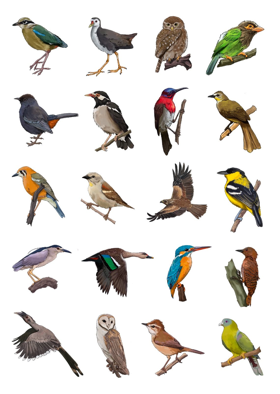 Bird stickers pack of 10 — 3