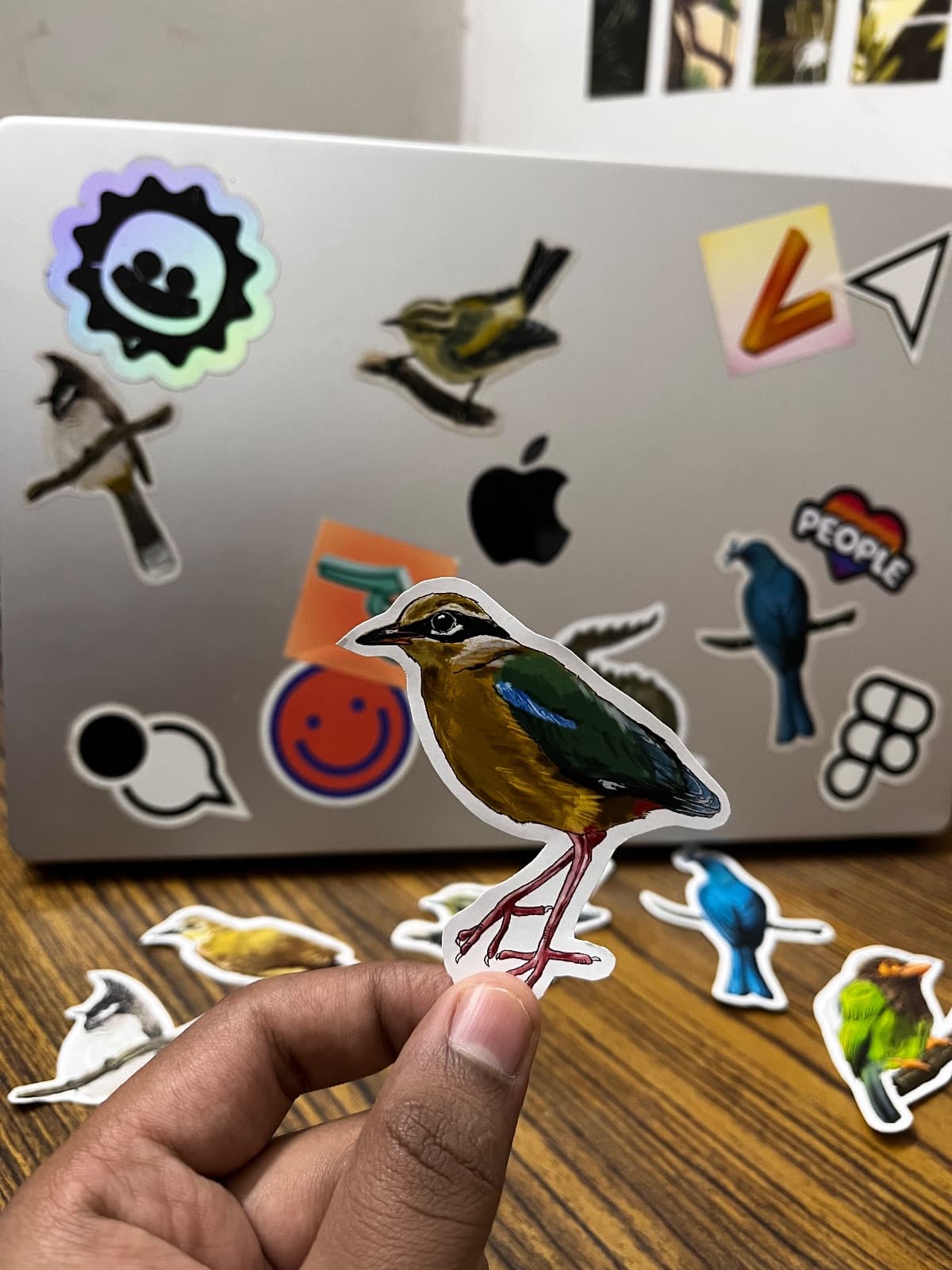Bird stickers pack of 10
