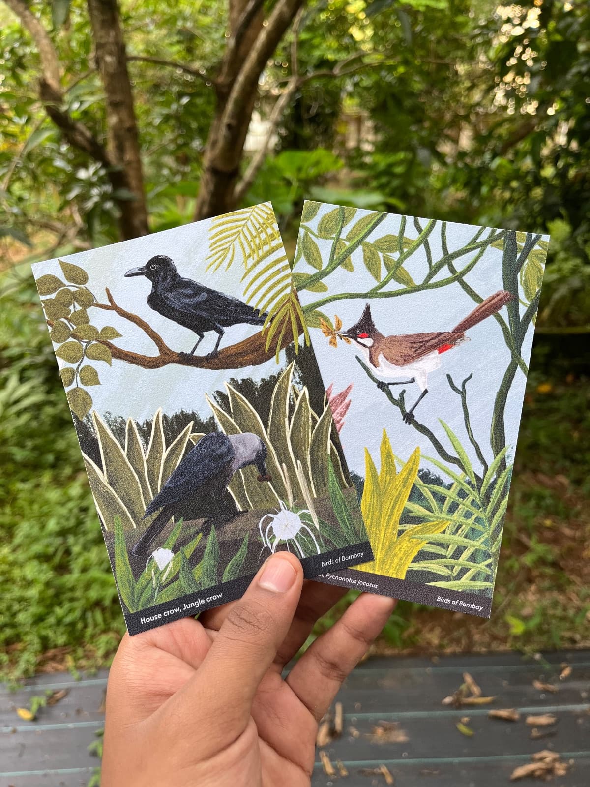 Birds postcards — 4